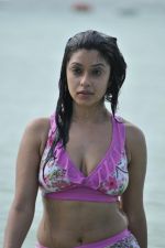 Payal Ghosh (Harika) in Bikini Swimwear Photoshoot on 30th May 2010 (3).JPG